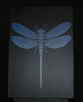 Dragonfly — Original Sgraffito on Canvas