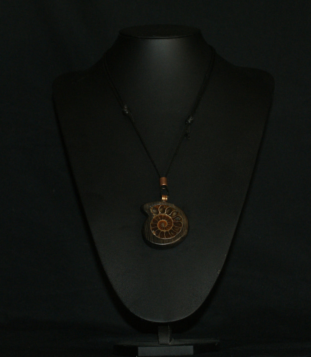 Ancient Bog Oak & Madagascan Ammonite Pendant Necklace – One of a Kind
