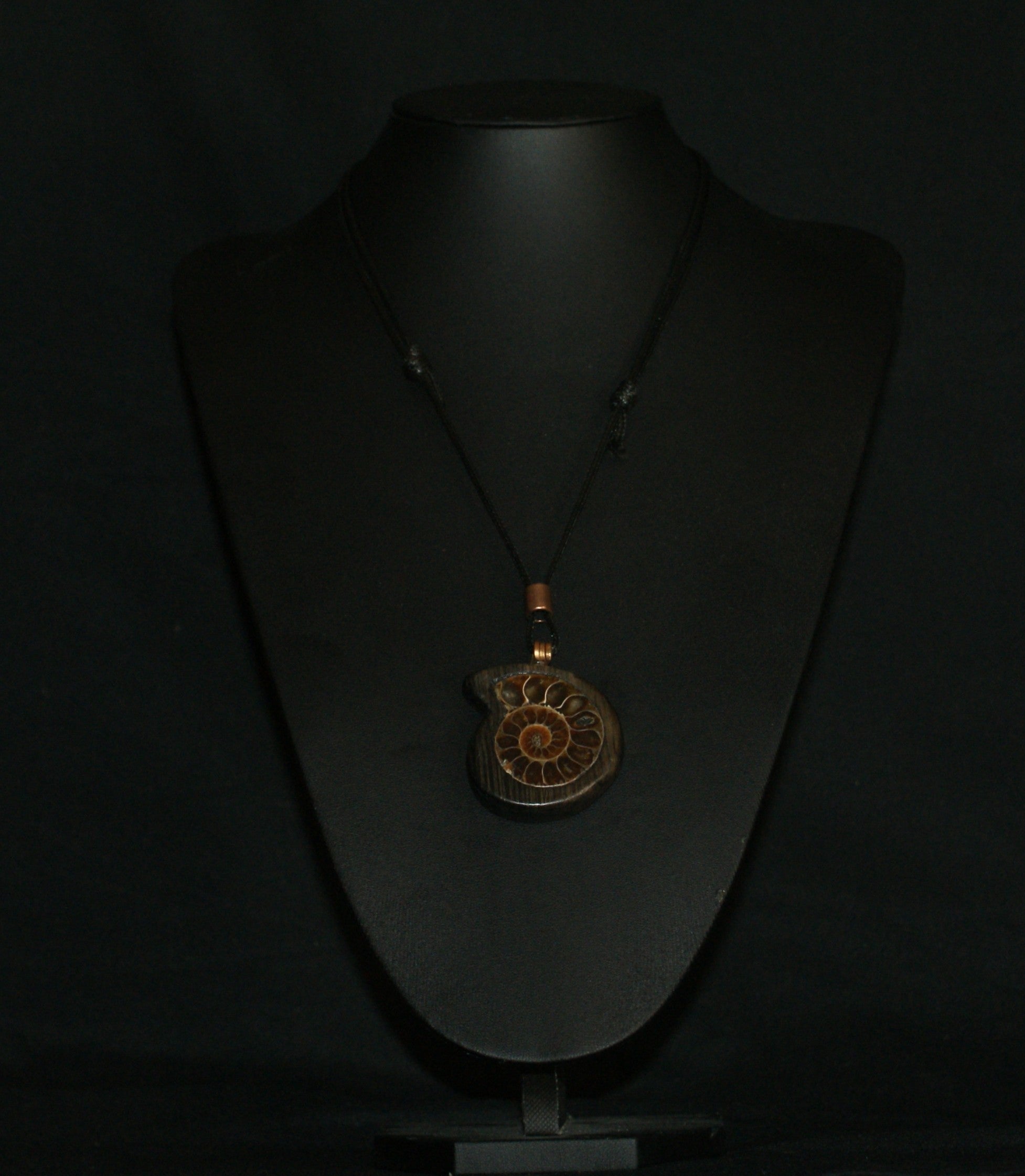 Ancient Bog Oak & Madagascan Ammonite Pendant Necklace – One of a Kind