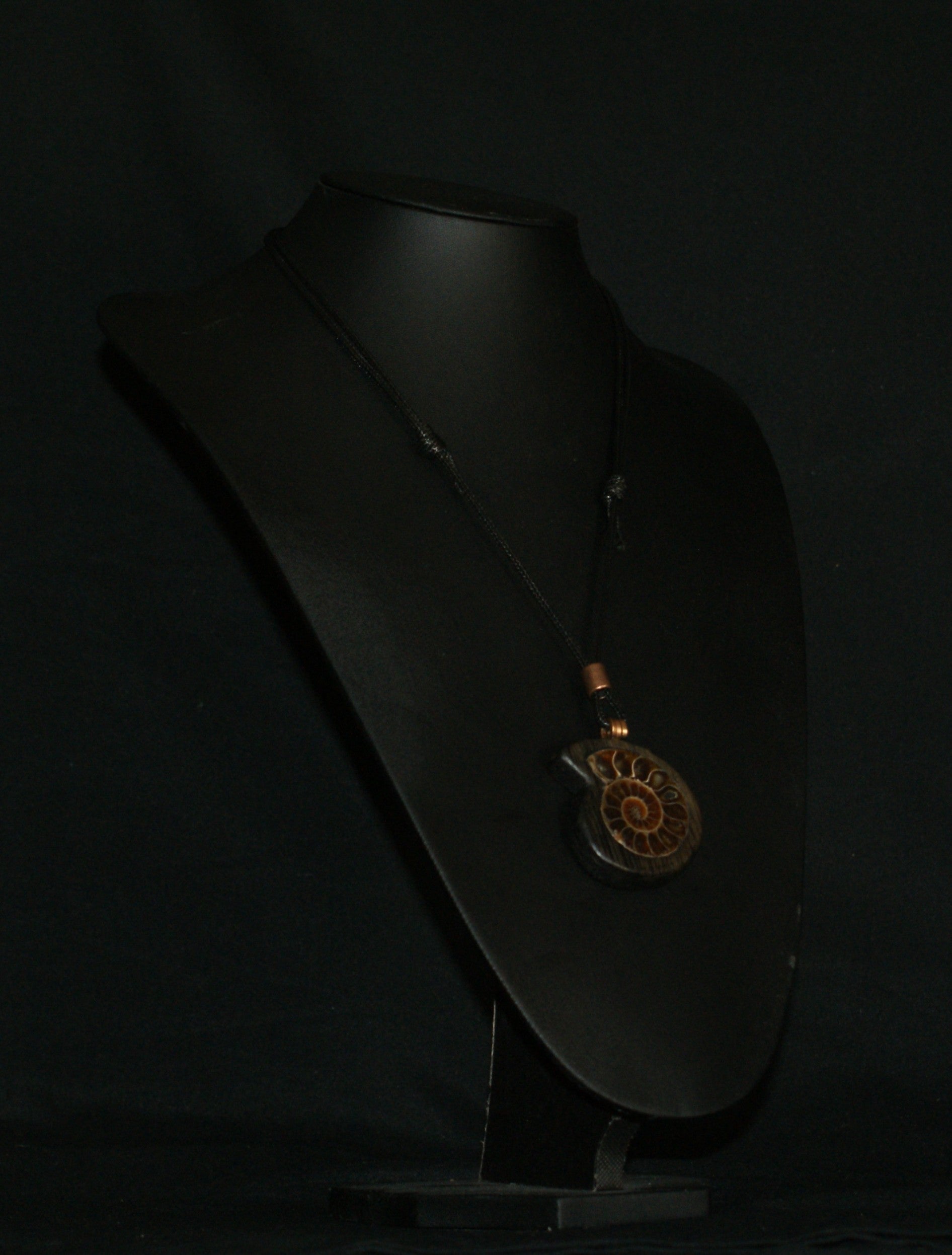 Ancient Bog Oak & Madagascan Ammonite Pendant Necklace – One of a Kind