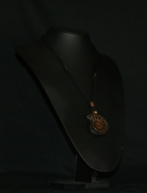 Ancient Bog Oak & Madagascan Ammonite Pendant Necklace – One of a Kind