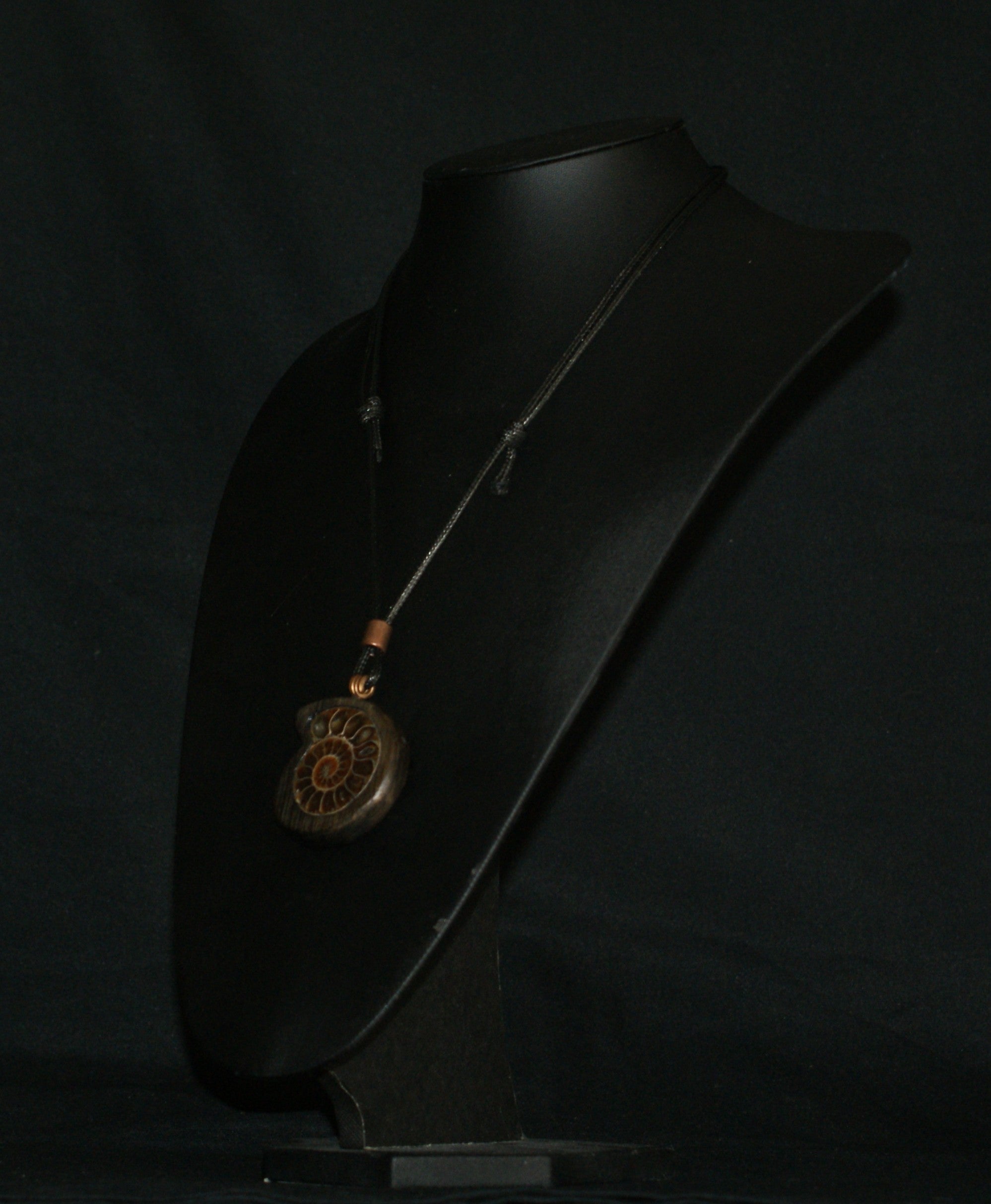 Ancient Bog Oak & Madagascan Ammonite Pendant Necklace – One of a Kind